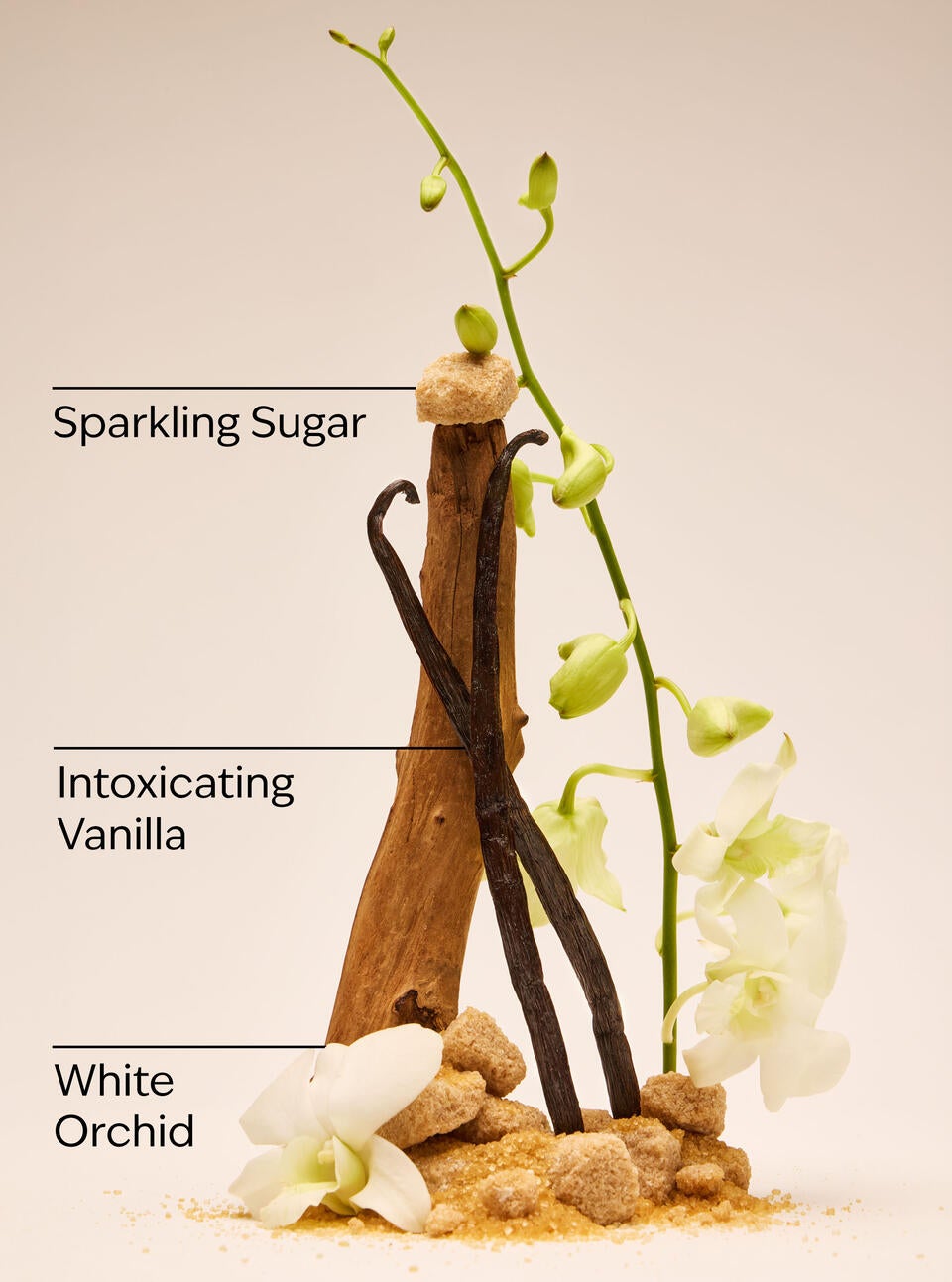 Bath & Body Works Warm Vanilla Sugar Body Lotion
