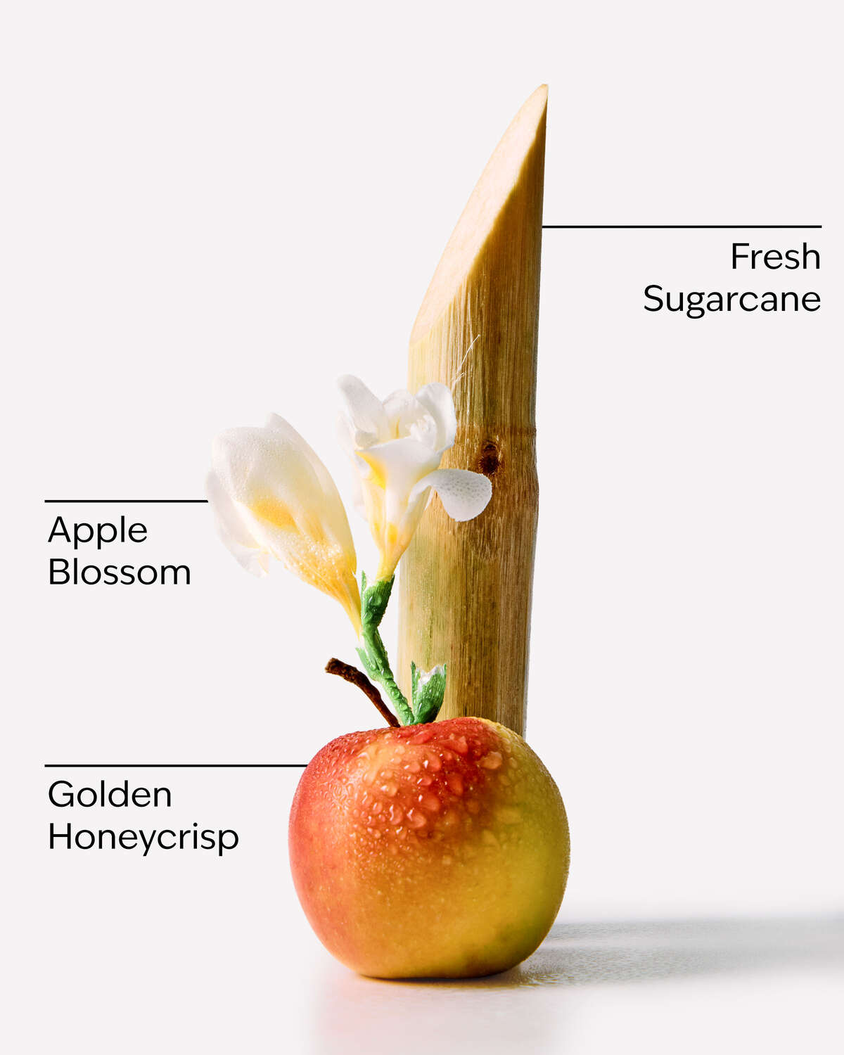Bath & Body Works Honeycrisp Apple 3 Wick Candle