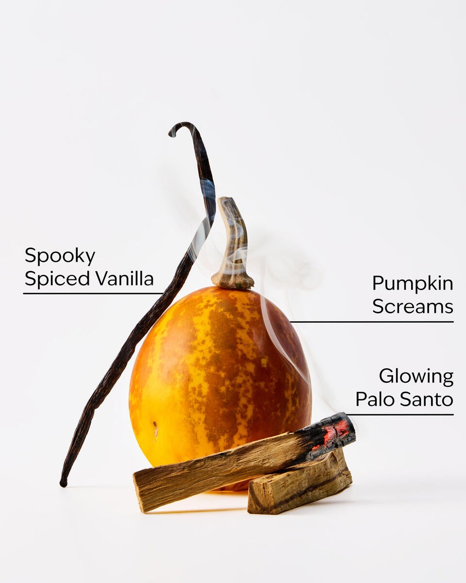 Bath & Body Works Jack Skellington Gentle And Clean Foaming Hand Soap