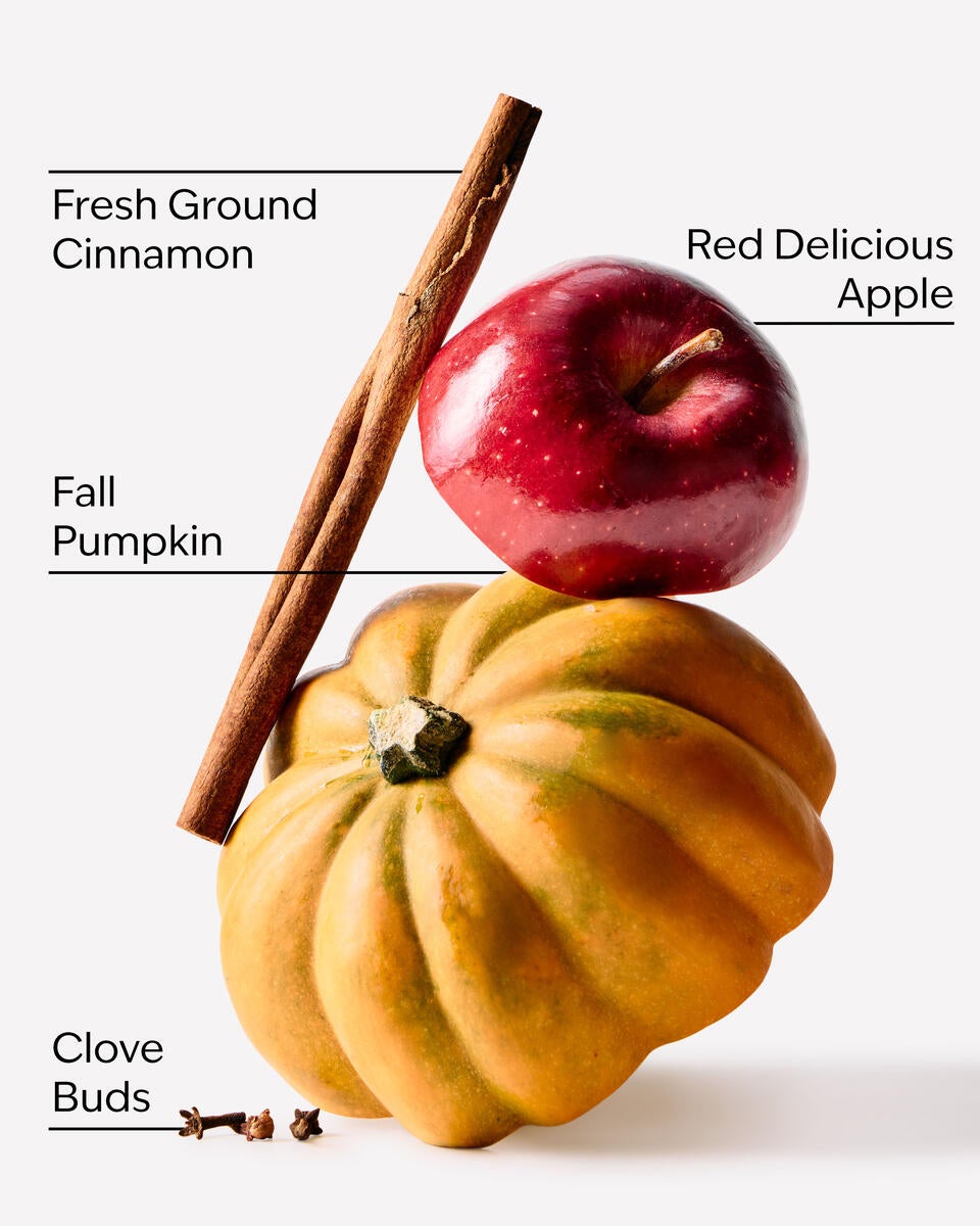 Bath & Body Works Pumpkin Apple Gentle And Clean Foaming Hand Soap