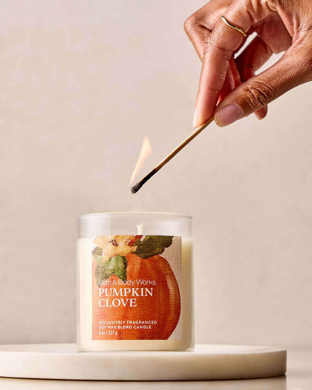 Bath & Body Works Pumpkin Clove Single Wick Candle