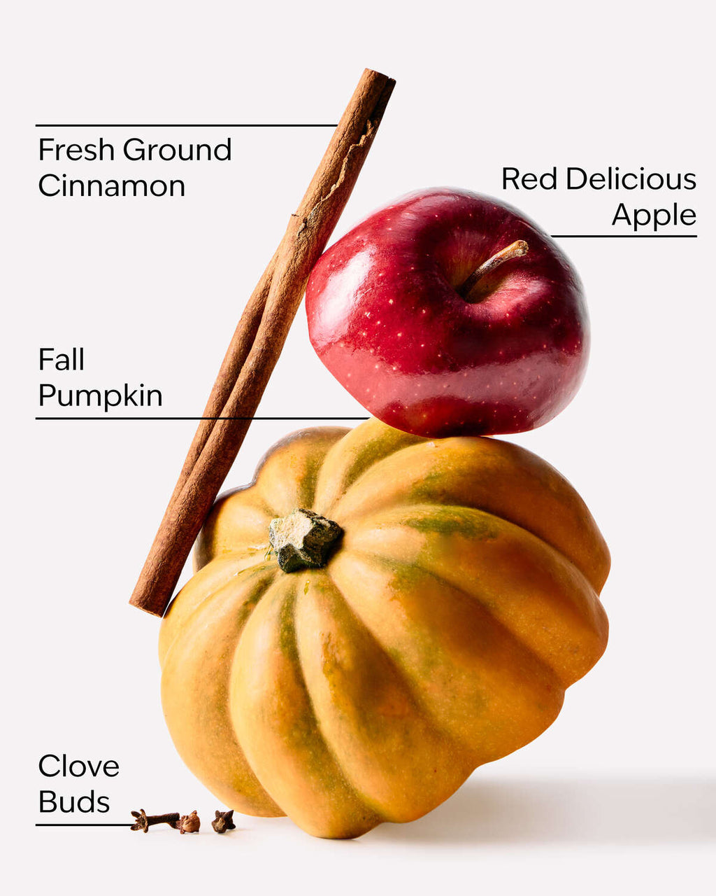 Bath & Body Works Pumpkin Apple Pocketbac Hand Sanitizer