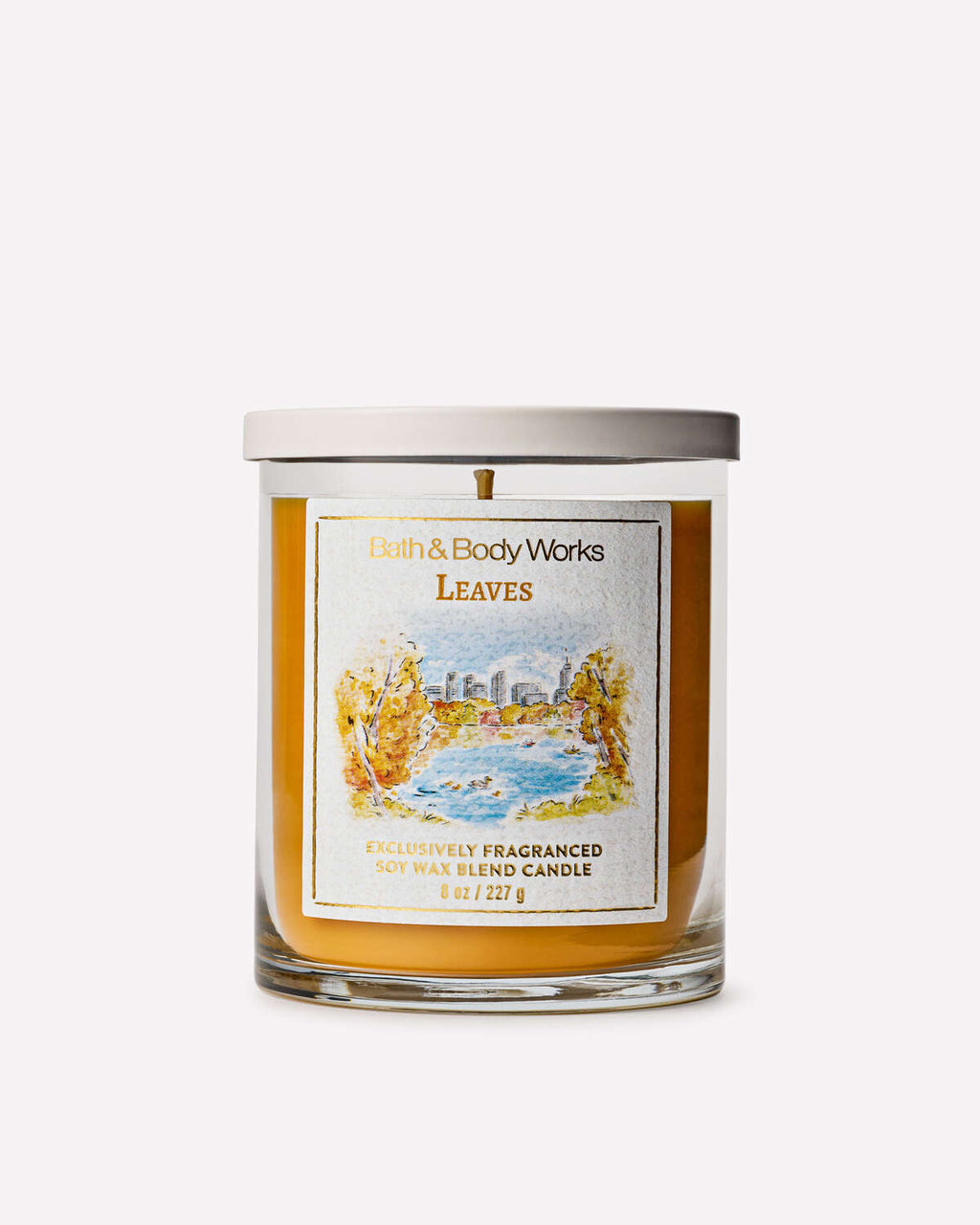 Bath & Body Works Leaves Single Wick Candle