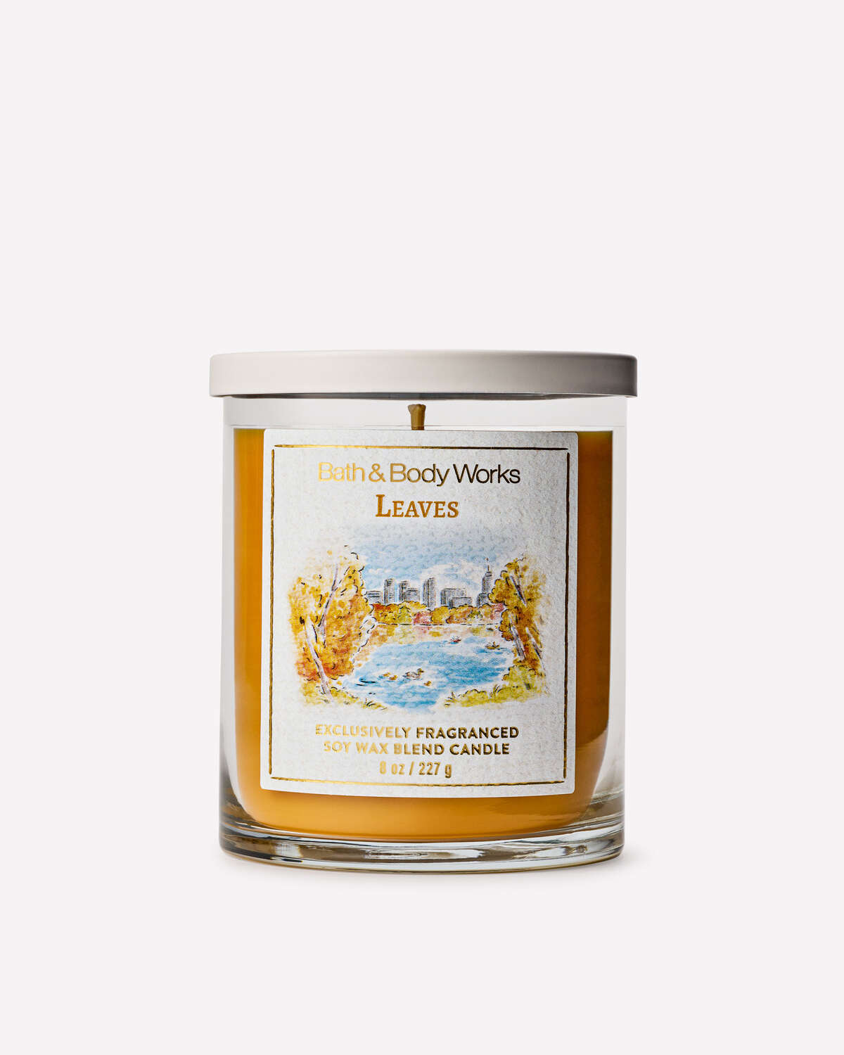 Bath & Body Works Leaves Single Wick Candle