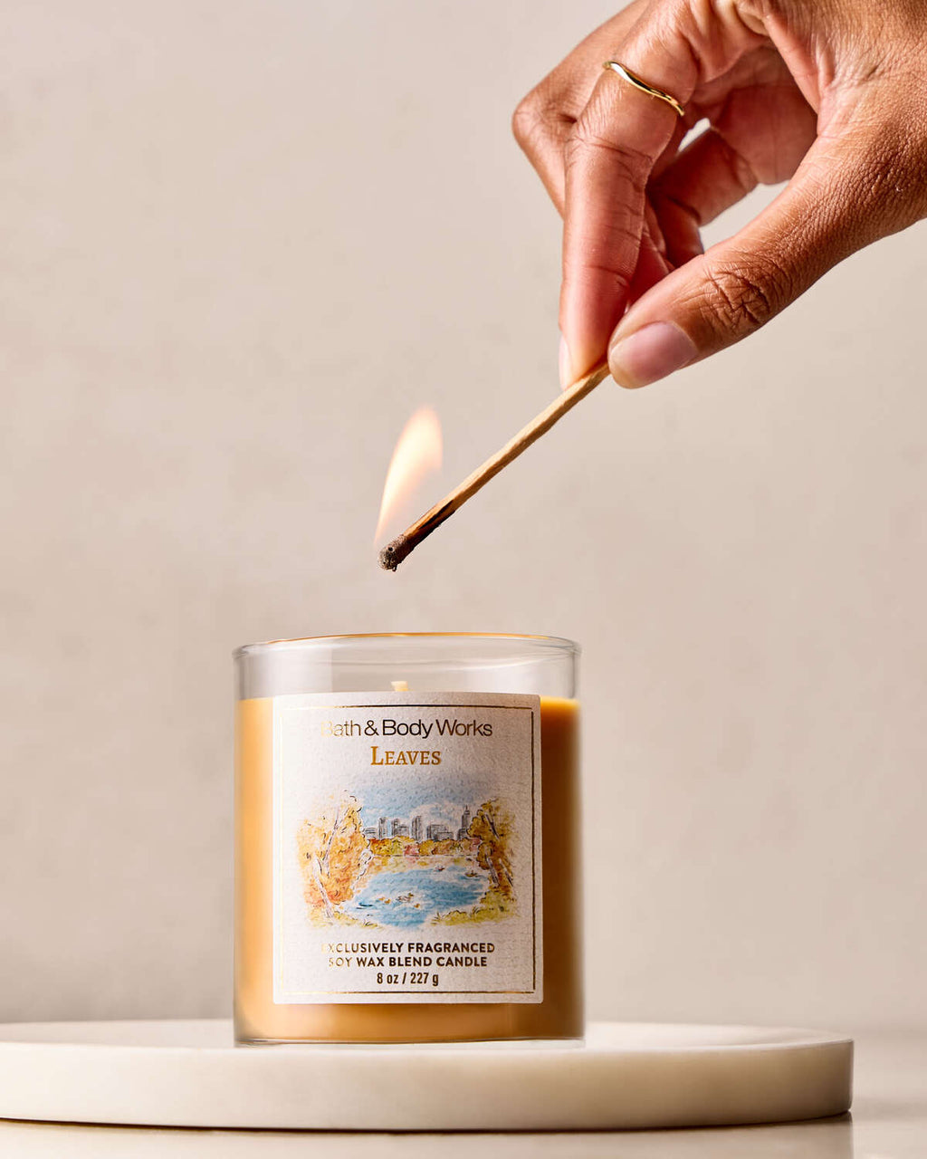 Bath & Body Works Leaves Single Wick Candle