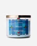 Bath & Body Works Winter 3 Wick Candle