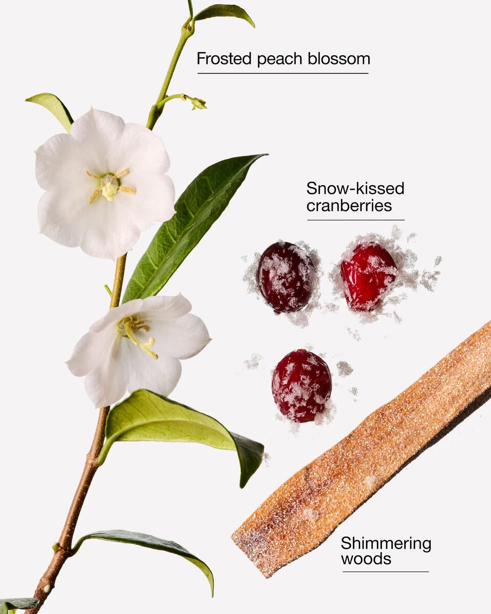 Bath & Body Works Snowy Peach Berry Pocketbac Hand Sanitizer