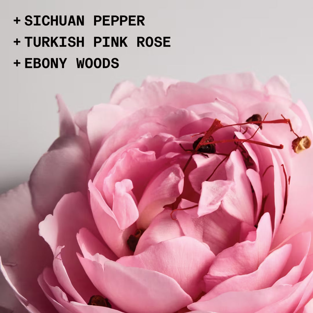 Love Club - The Solid Fragrance