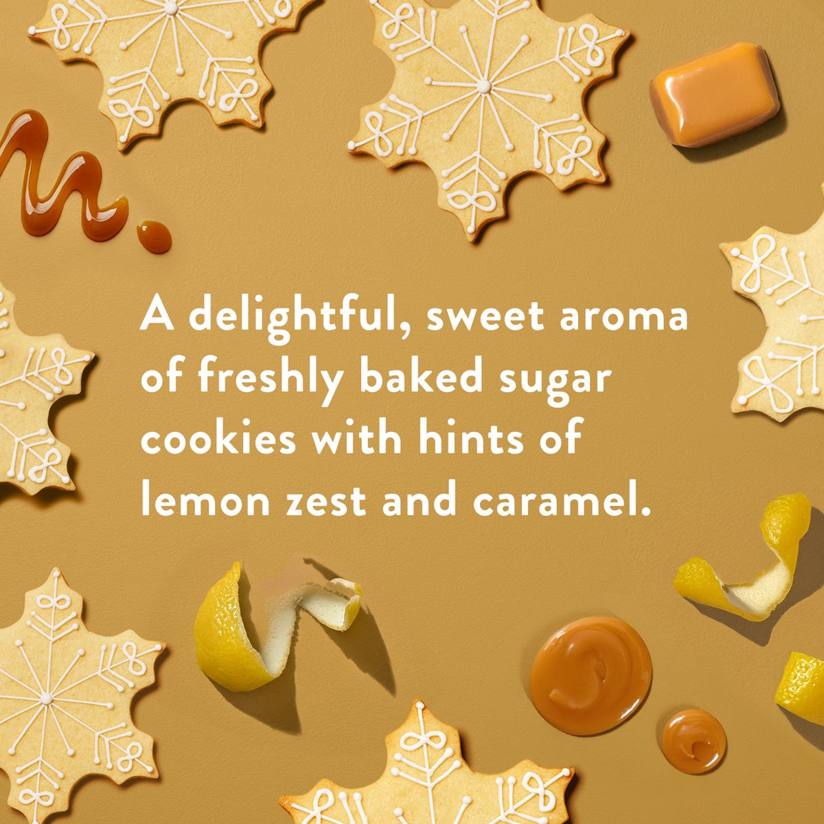 Native Sugar Cookie Body Lotion