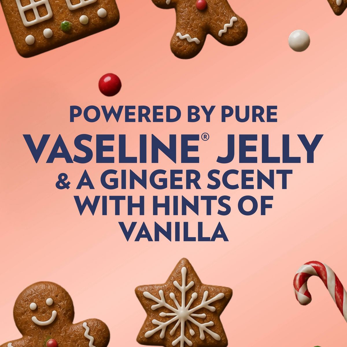 Vaseline Holiday Limited Edition Lip Balm - Gingerbread - 0.25oz