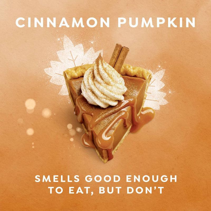 Dove Beauty Limited Edition Cinnamon Pumpkin Pie Deodorant Stick