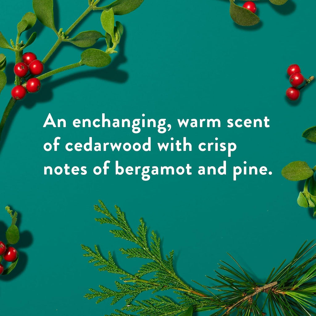 Native Body Wash, Holiday Edition, Fresh Mistletoe