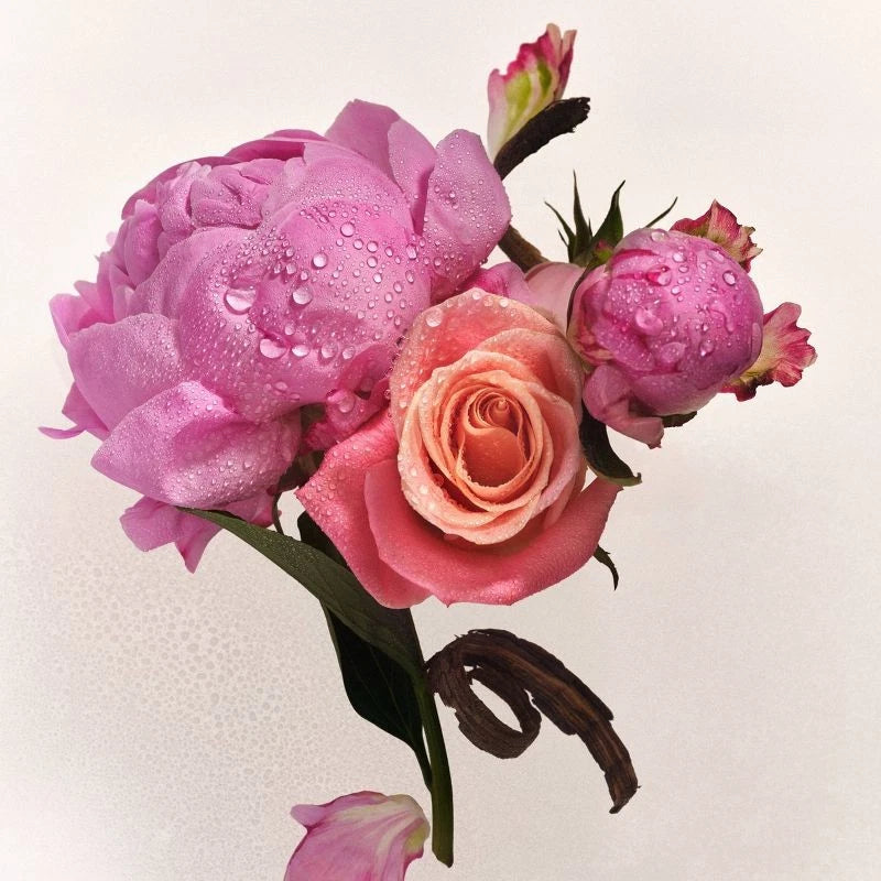 Petal Bloom Body Lotion