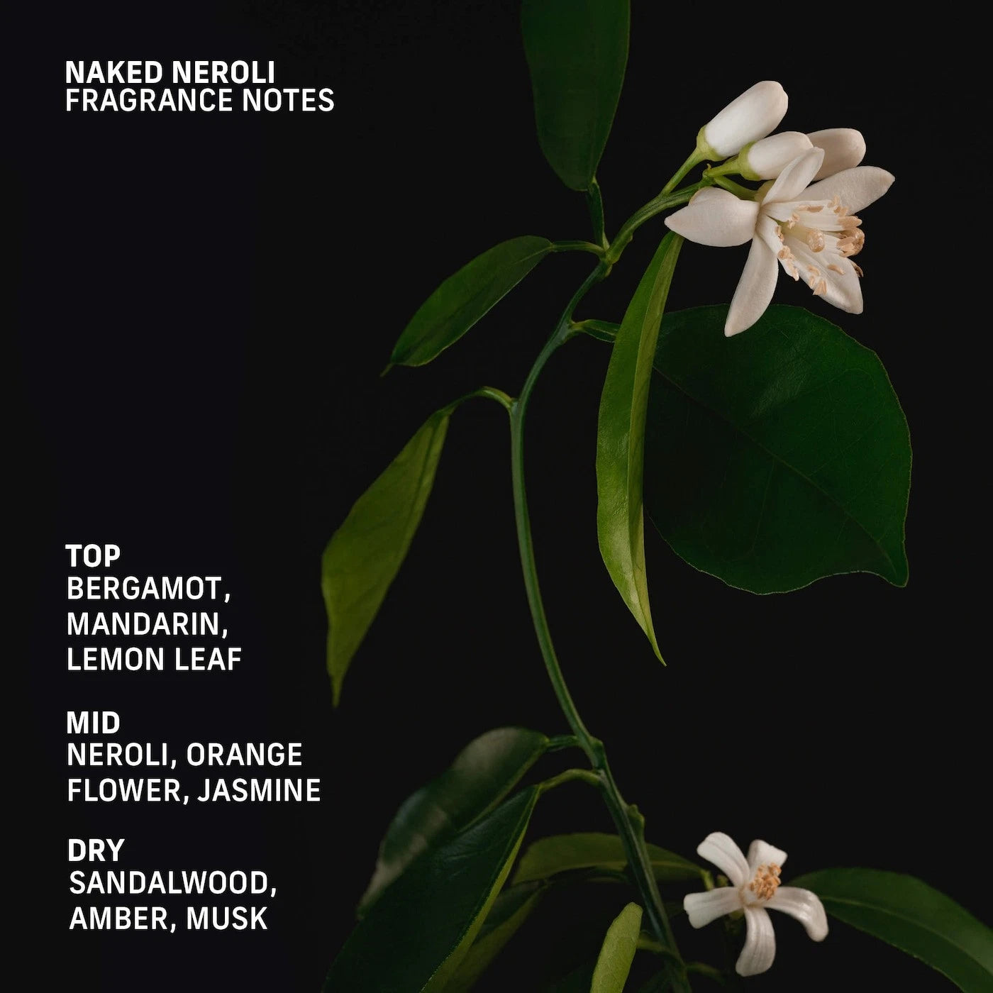 CYKLAR Naked Neroli Deodorant Gel