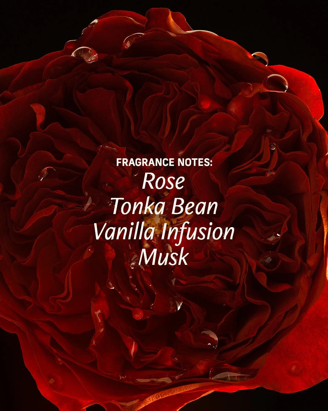 CYKLAR Roll-On Perfume Oil Sex Musk