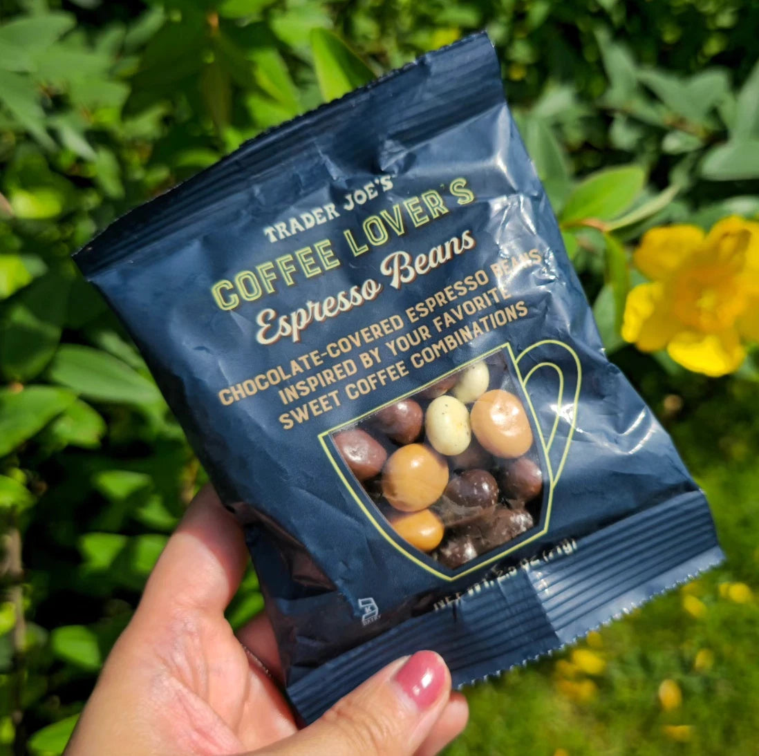 Trader Joes Coffee Lover's Espresso Beans