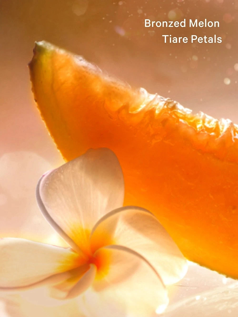 Beach Shimmer Lotion