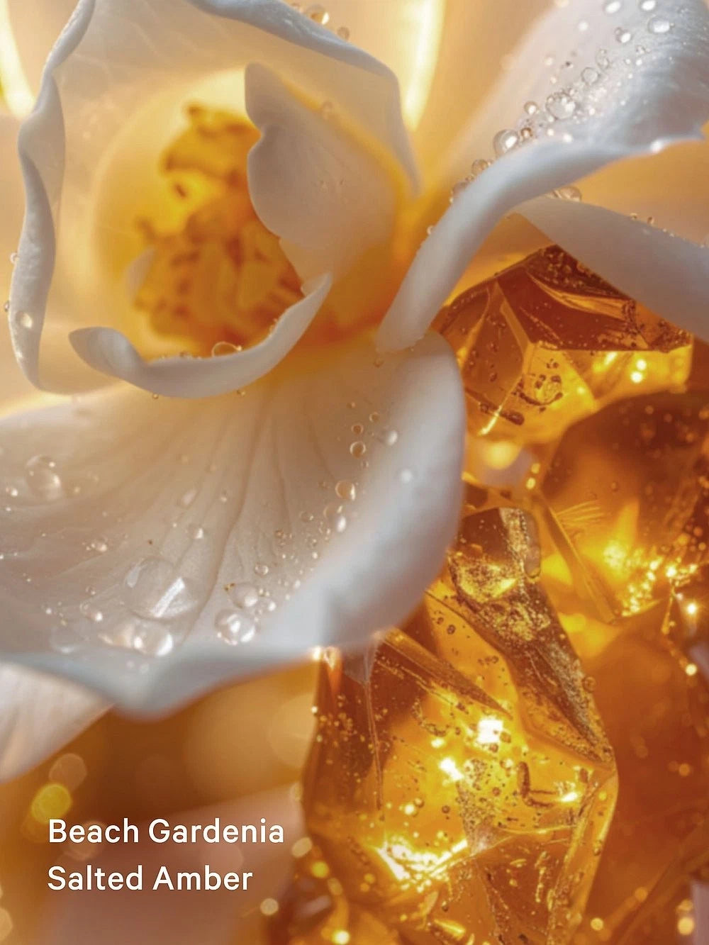 Seashell Shimmer Lotion