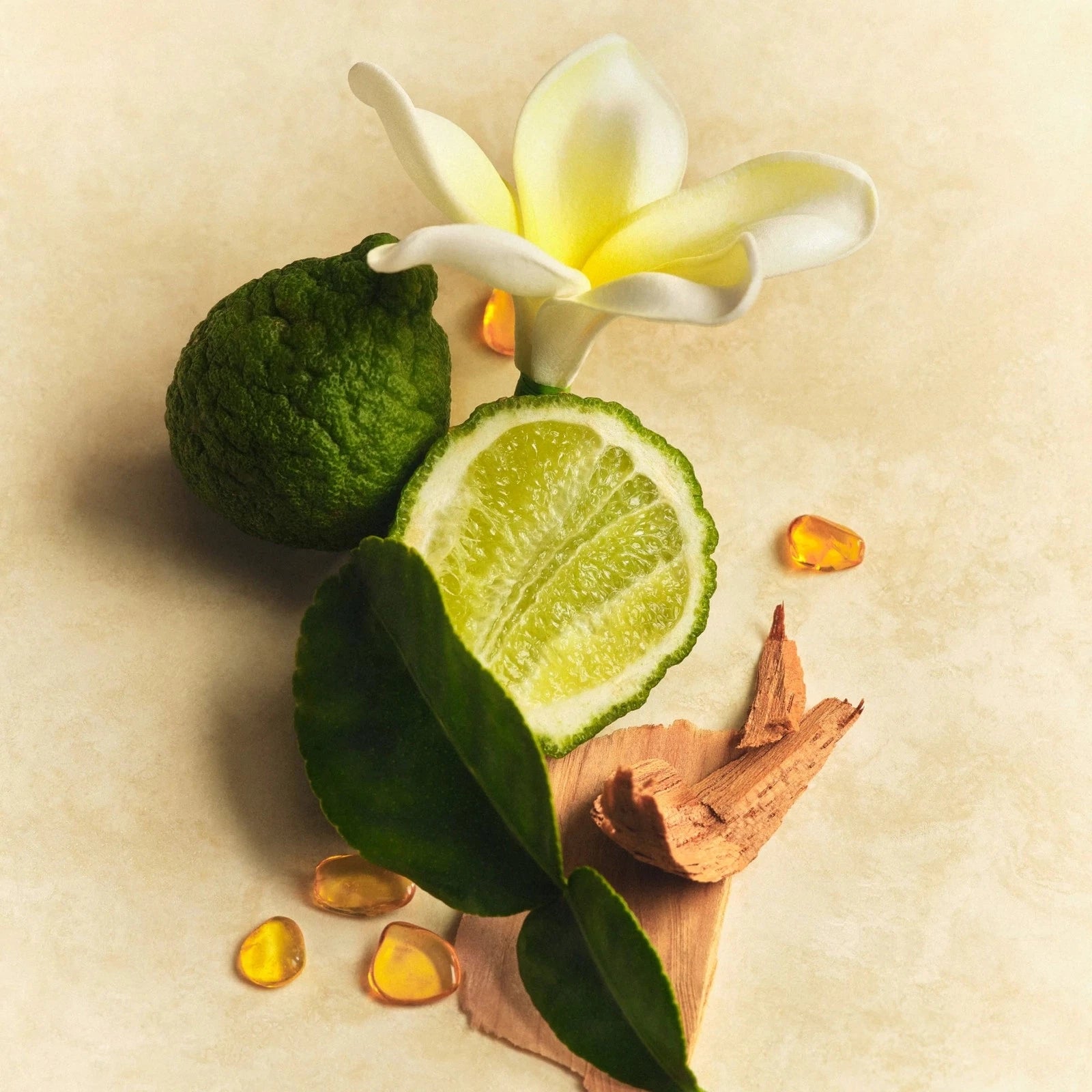 Solar Muse Body Lotion