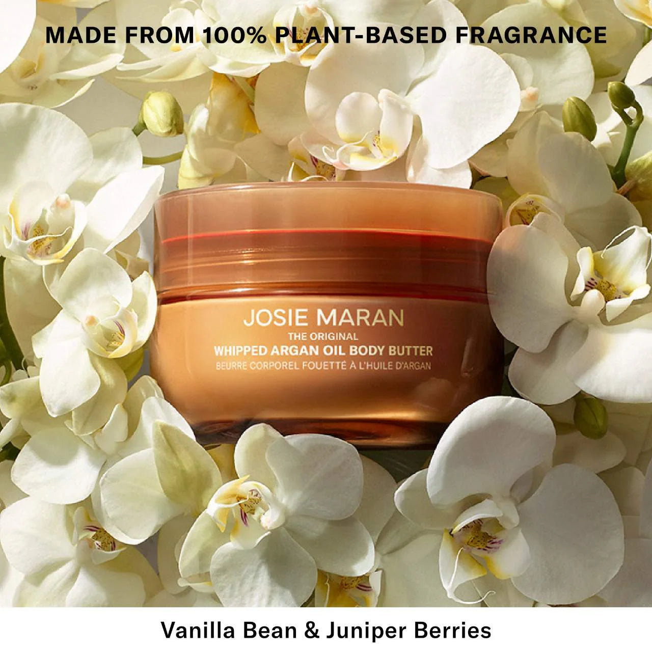 JOSIE MARAN - Vanilla Vibezzz - Whipped Argan Oil Firming Body Butter - 6oz