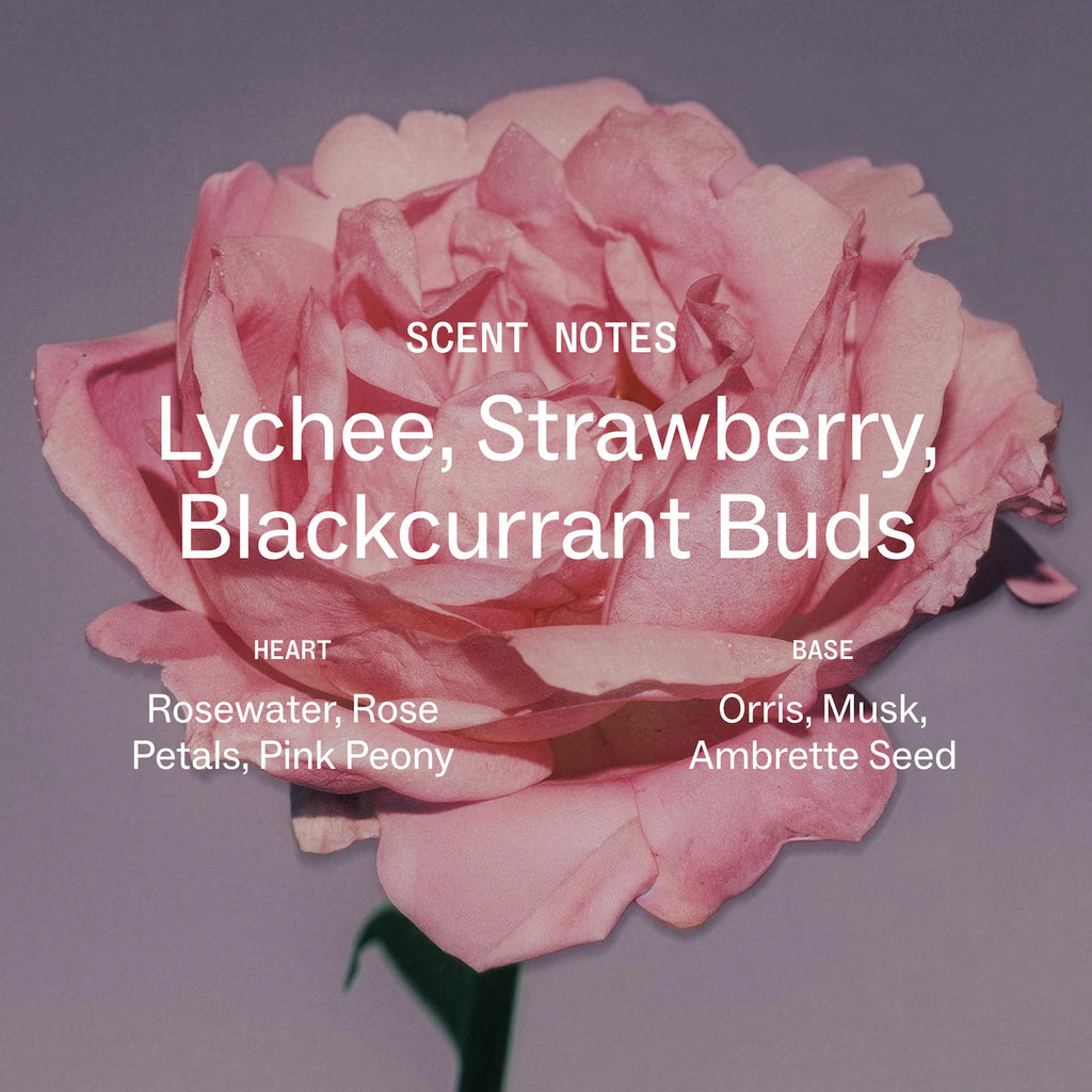 Touchland Blush Rose Glow Essence Body & Hair Fragrance Mist