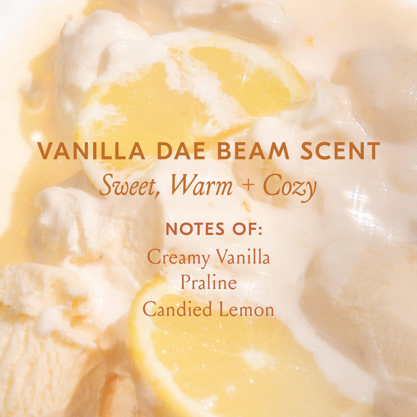 Dae Vanilla Dae Beam Cactus Fruit 3-in-1 Styling Cream with Taming Wand